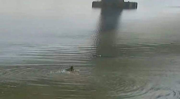 南京民警赵邢超、张超华、赵磊，你们救人的样子真帅！