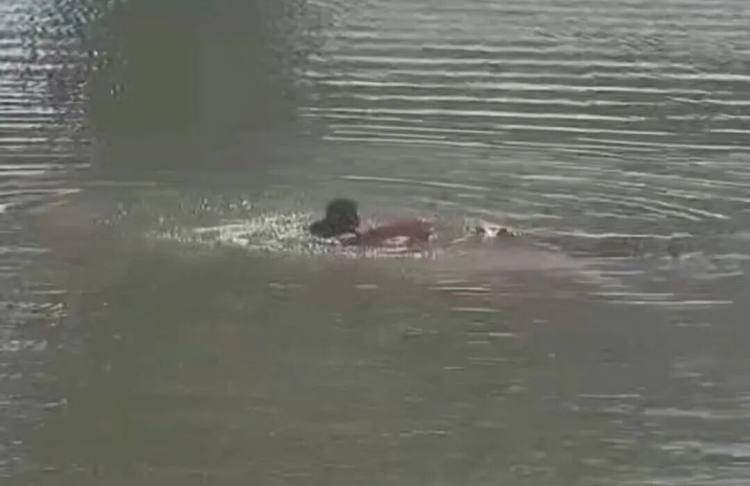 南京民警赵邢超、张超华、赵磊，你们救人的样子真帅！